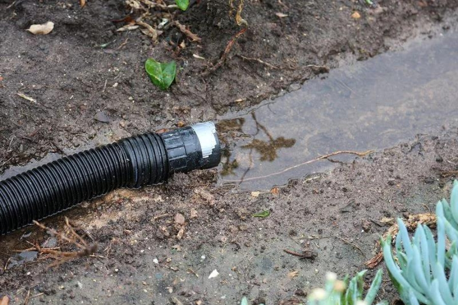 Professional Drainage Repair Service in Trenton, FL with Free Estimate (4)