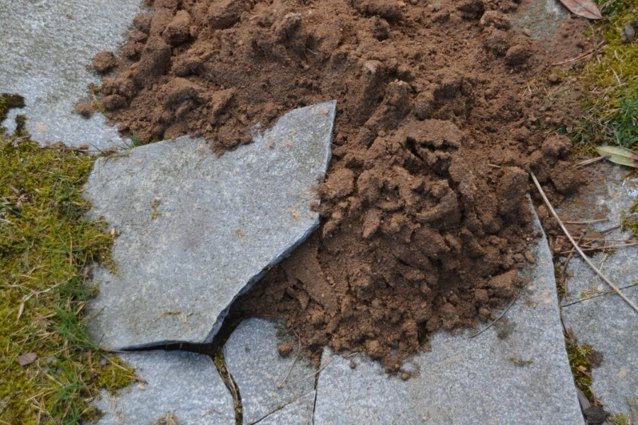 Soil Stabilization Services in Trenton, FL (6)